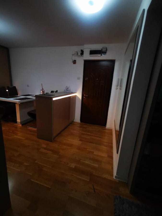 Luxury Apartment. 10 Minutes Taxi Ride To Center Тимишоара Экстерьер фото
